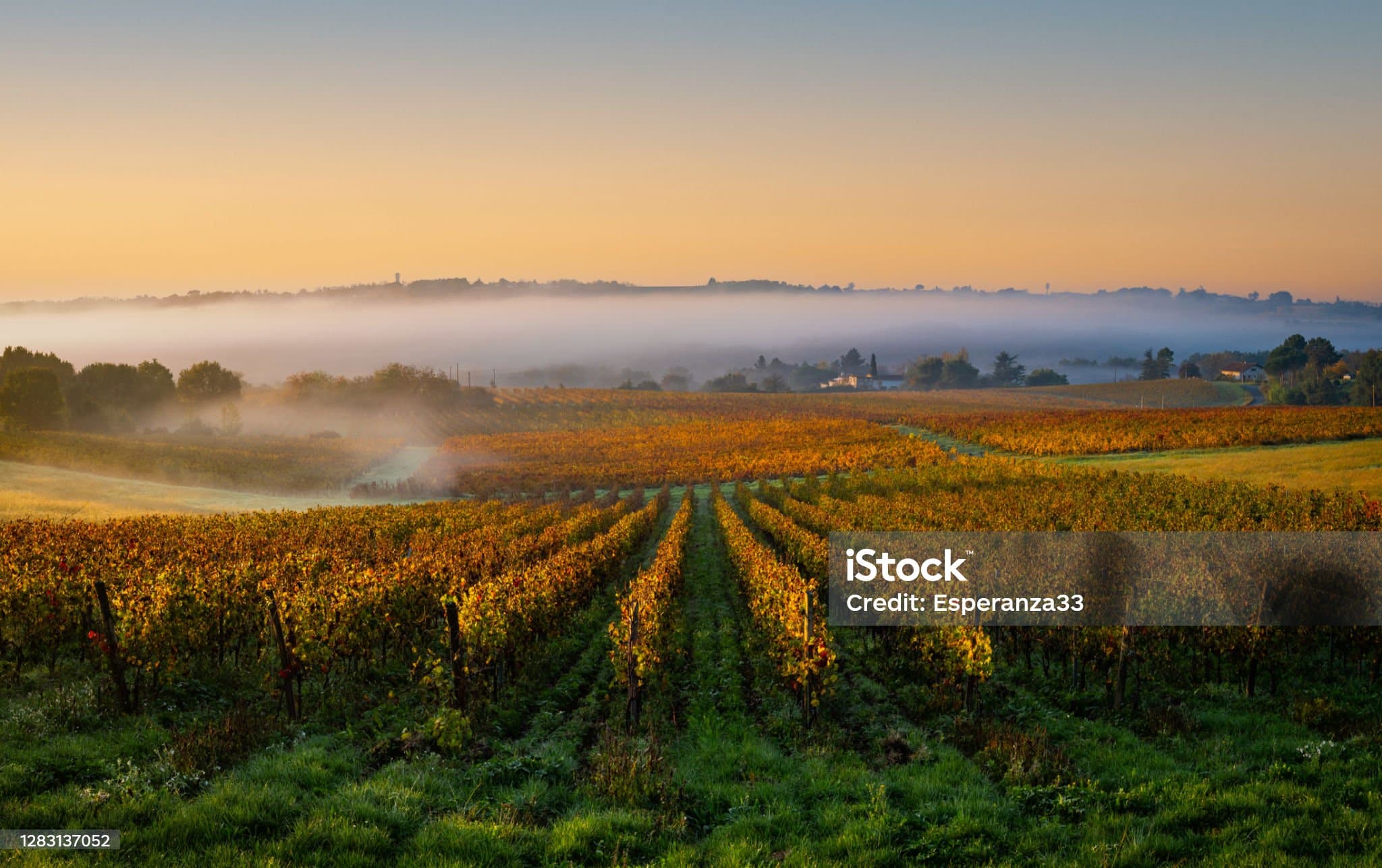 Domaine La vie en Couleur