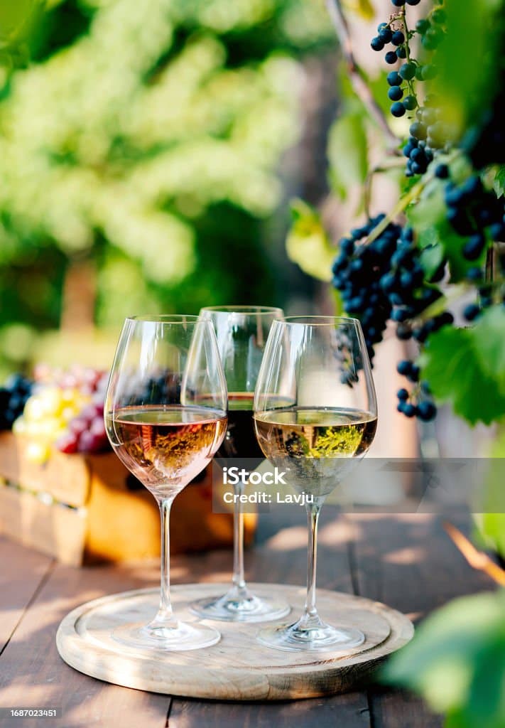 Chateau Viticulte — photo 4